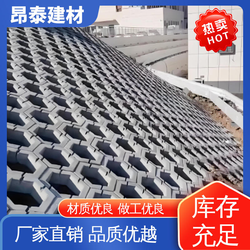 昂泰建材 混泥土实心砖 抗渗漏性强 六角护坡砖 做工精细
