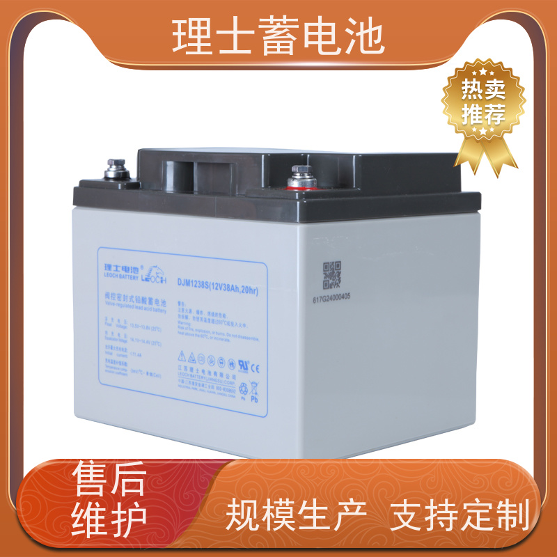 LEOCH理士蓄电池 12V24AH 适用EPS ups电源 质量保证