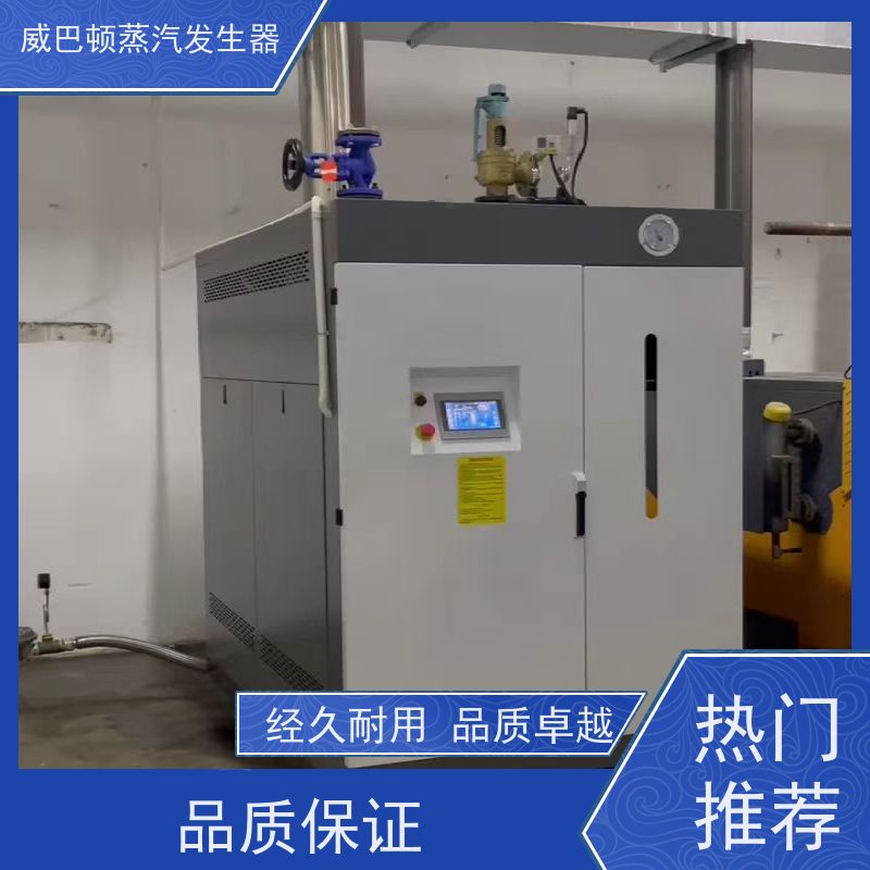 威巴顿 烘干熨烫 天然气锅炉品牌 启动快 高温关于
