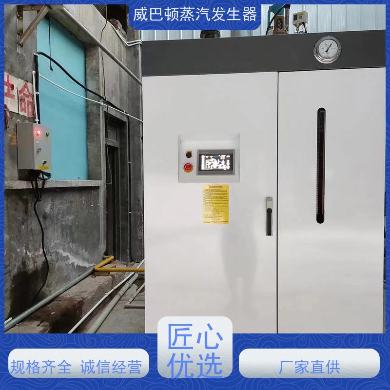 威巴顿 不锈钢 燃气锅炉 水容积≤30L合规又省心 智能控温