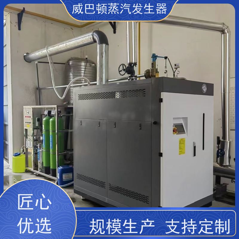 威巴顿 洗涤熨烫 1吨天然气锅炉 热效率 101% 还省气 食品厂