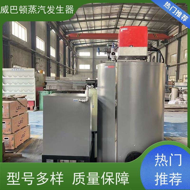  低氮冷凝 8T蒸汽发生器 多台并联省气稳供 泡沫厂