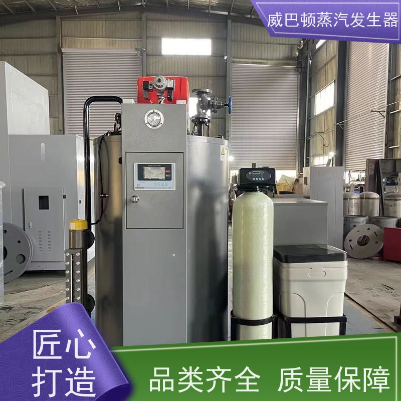  免登记 模块锅炉 水容积≤30L，合规又省心 印染厂