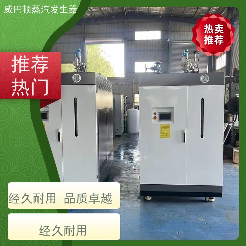 威巴顿蒸汽发生器 洗涤熨烫 冷凝锅炉品牌 体积小一半 智能控温