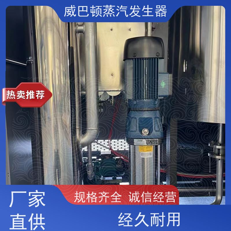  烘干熨烫 蒸馒头专用锅炉 多台并联省气稳供 食品厂