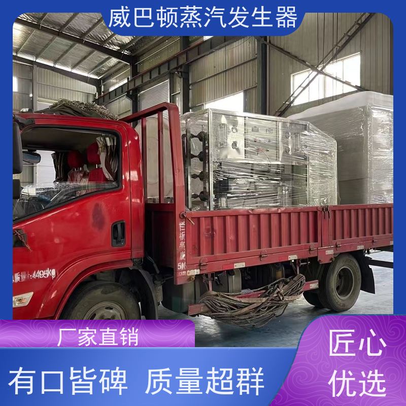 威巴顿 食品级 5吨蒸汽锅炉 多台并联省气稳供 印染厂