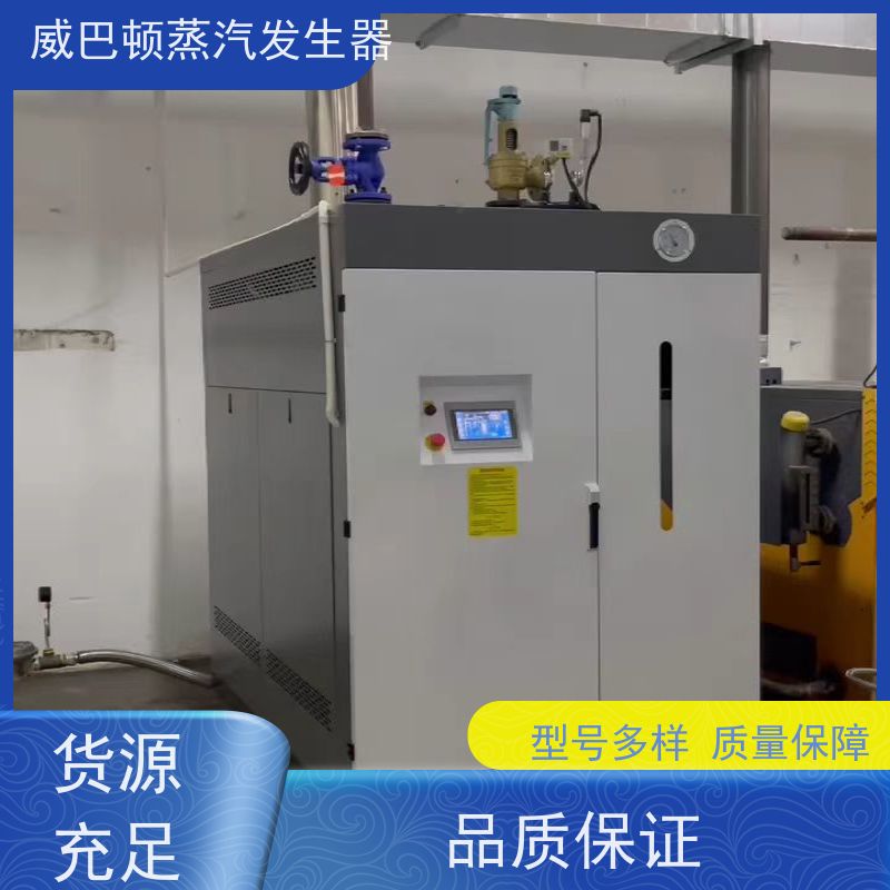  烘干熨烫 1吨天然气锅炉 水容积≤30L，合规又省心 印染厂