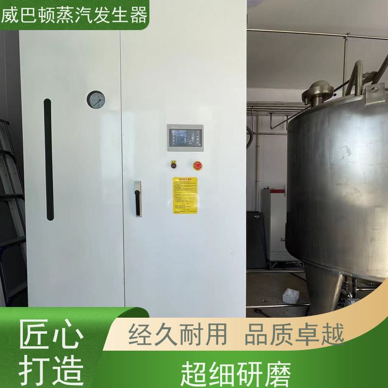  洗涤熨烫 10吨天然气锅炉 体积小一半全 豆腐腐竹加工厂