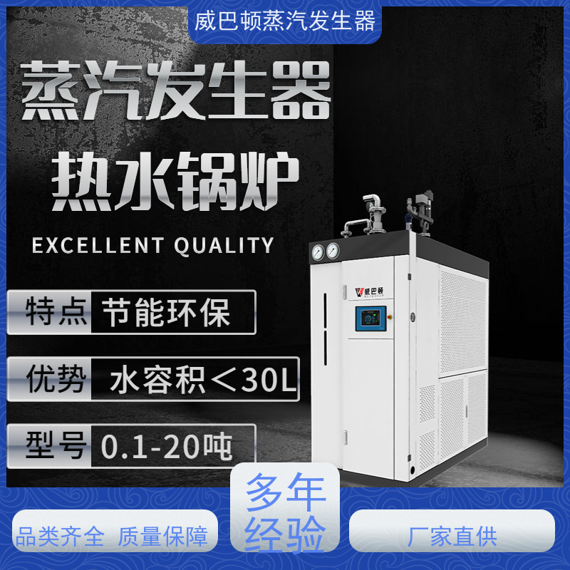  低氮冷凝 5吨燃气锅炉 热效率 101% 还省气 食品烘干