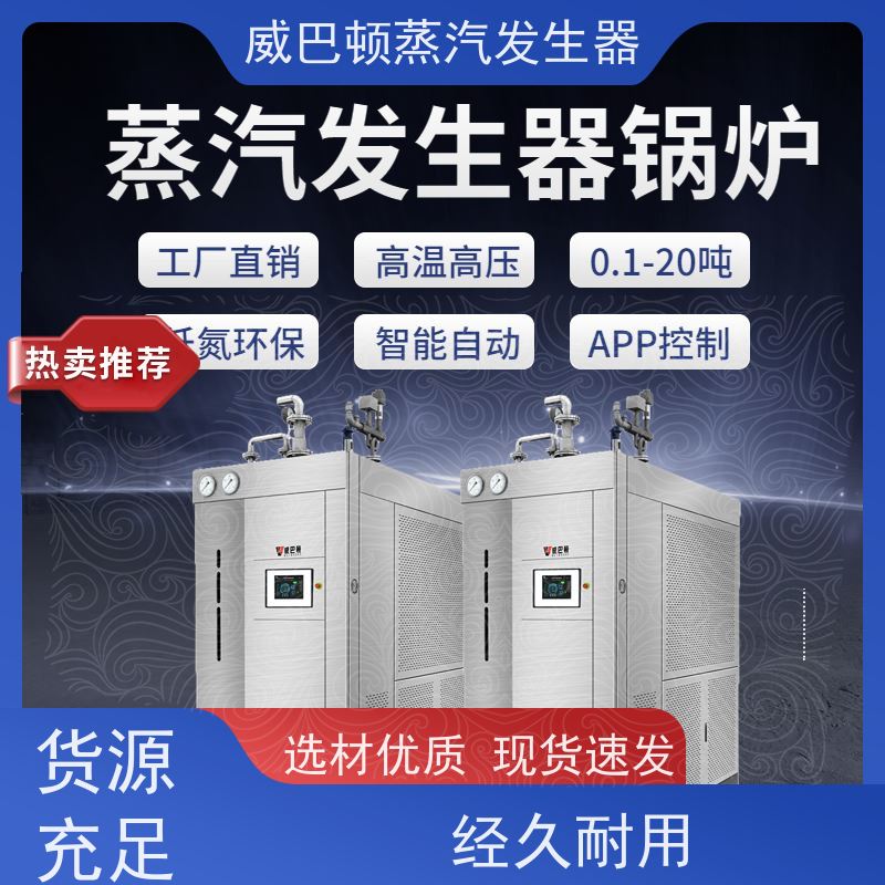  低氮冷凝 洗涤锅炉 小车间也能轻松装 豆腐腐竹加工厂