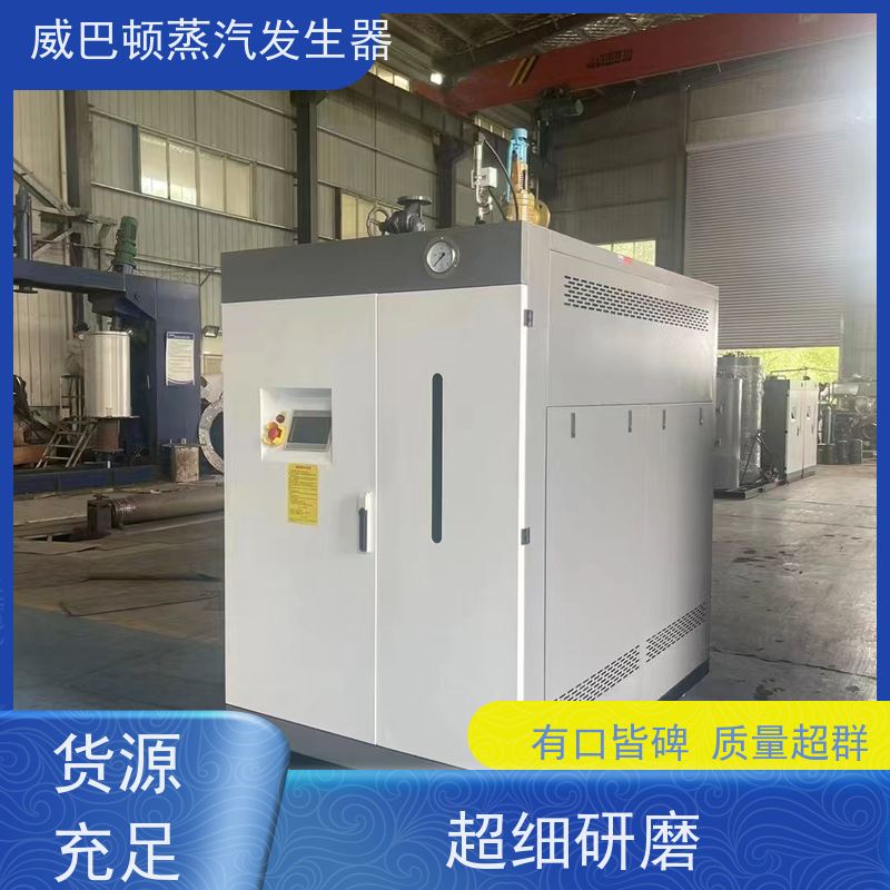  免特检 燃气蒸汽发生器 水容积≤30L，合规又省心 造纸厂