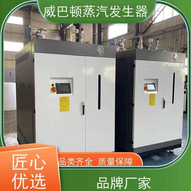  免特检 新能源环保锅炉 水容积≤30L，合规又省心 橡胶厂
