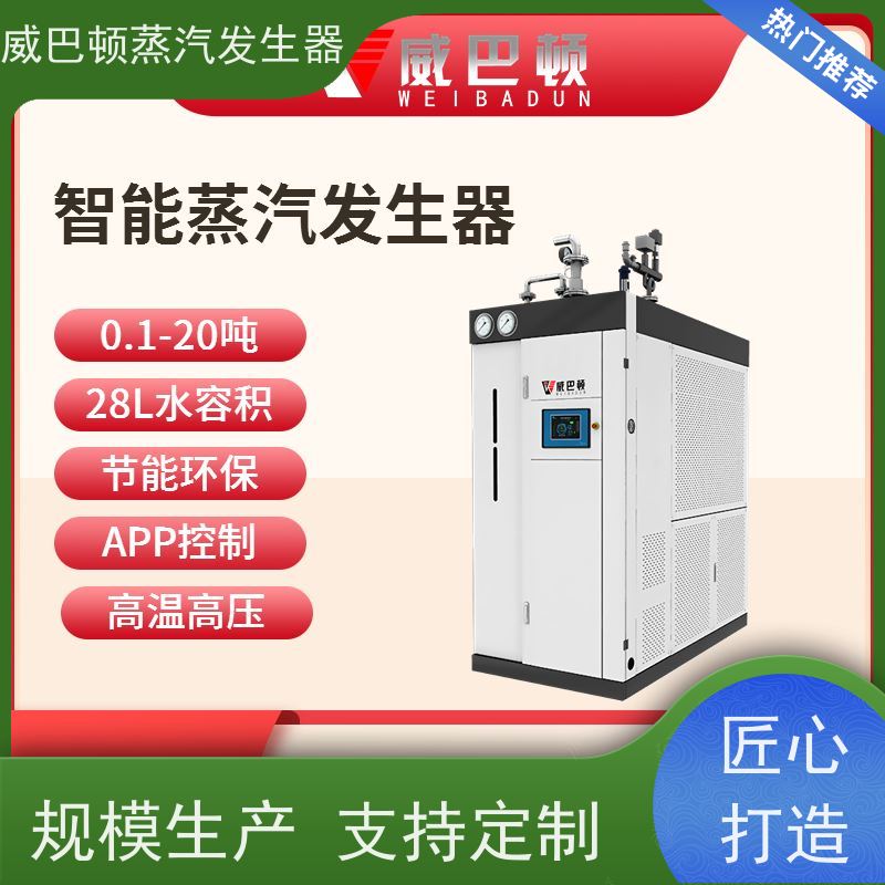 威巴顿 烘干熨烫 天燃气锅炉生产厂家 热效率 101% 还省气 巴氏消毒