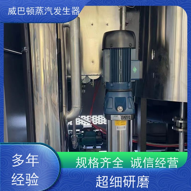  烘干熨烫 天然气烧锅炉 多台并联省气稳供 造纸厂