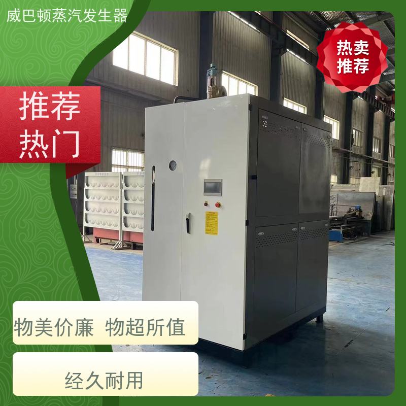 新型国标 工业蒸汽发生器 体积小一半全 反应釜