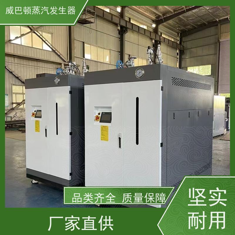  低氮冷凝 5吨燃气锅炉 热效率 101% 还省气 造纸厂