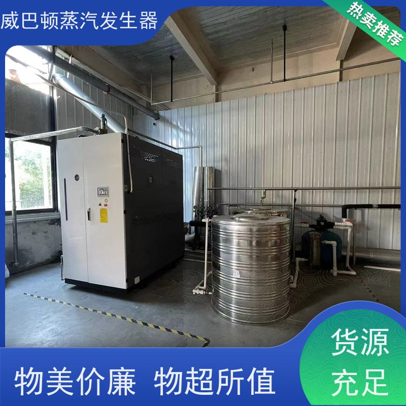 威巴顿 烘干熨烫 六吨蒸汽锅炉改造 启动快 食品厂