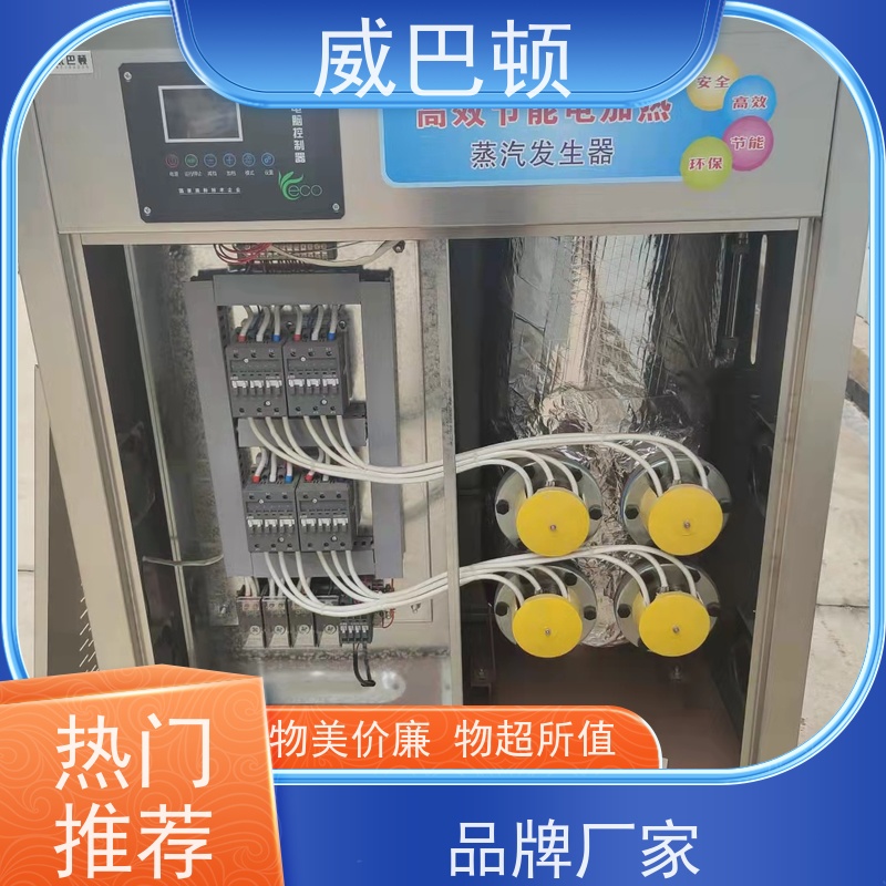  水容积≤30L 免监检 蒸汽干度 97% 电加热锅炉 防干烧
