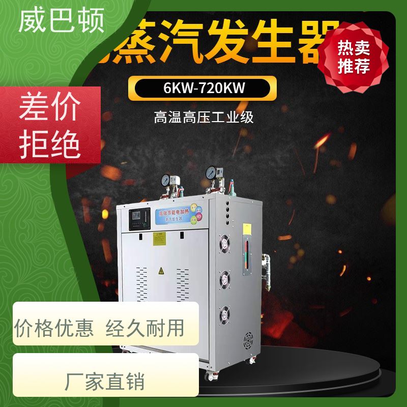  304 不锈钢内胆 电加热锅炉 高温蒸汽杀菌 防干烧