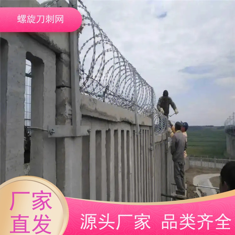 防攀爬刀刺网小区学校防爬防盗网防触摸热镀锌围墙刺滚笼颜色