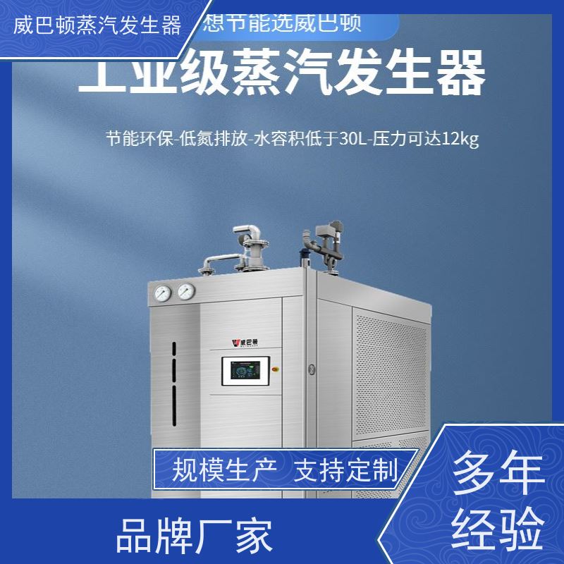  灭菌消毒 洗衣房锅炉 小车间也能轻松装 豆腐腐竹加工厂