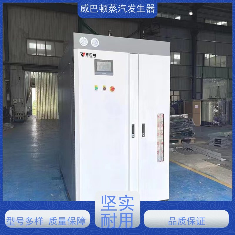  免登记 高压蒸汽锅炉 热效率 101% 还省气 豆腐腐竹加工厂