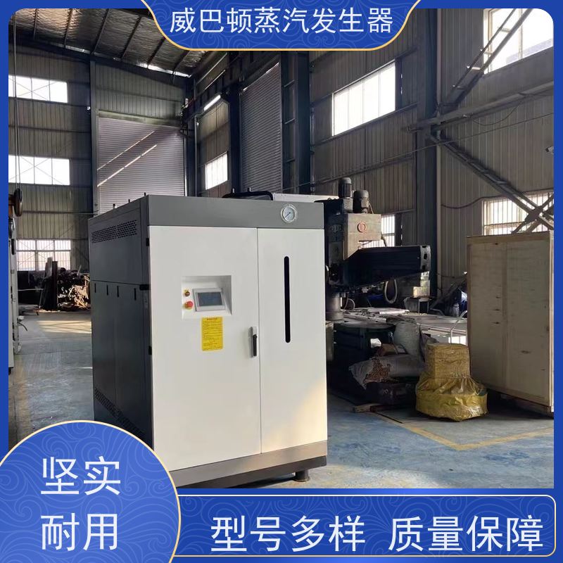  灭菌消毒 模块锅炉 体积小一半全 豆腐腐竹加工厂