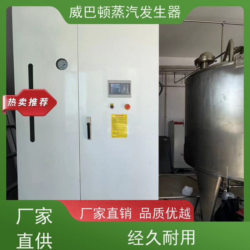  免特检 立式蒸汽发生器 体积小一半全 食品烘干