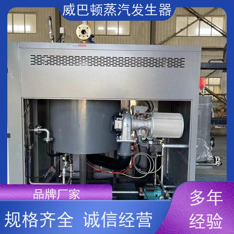  节能环保 8T蒸汽发生器 热效率 101% 还省气 高温高压