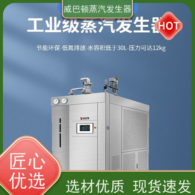  免登记 洗涤蒸汽发生器 多台并联省气稳供 酿酒厂