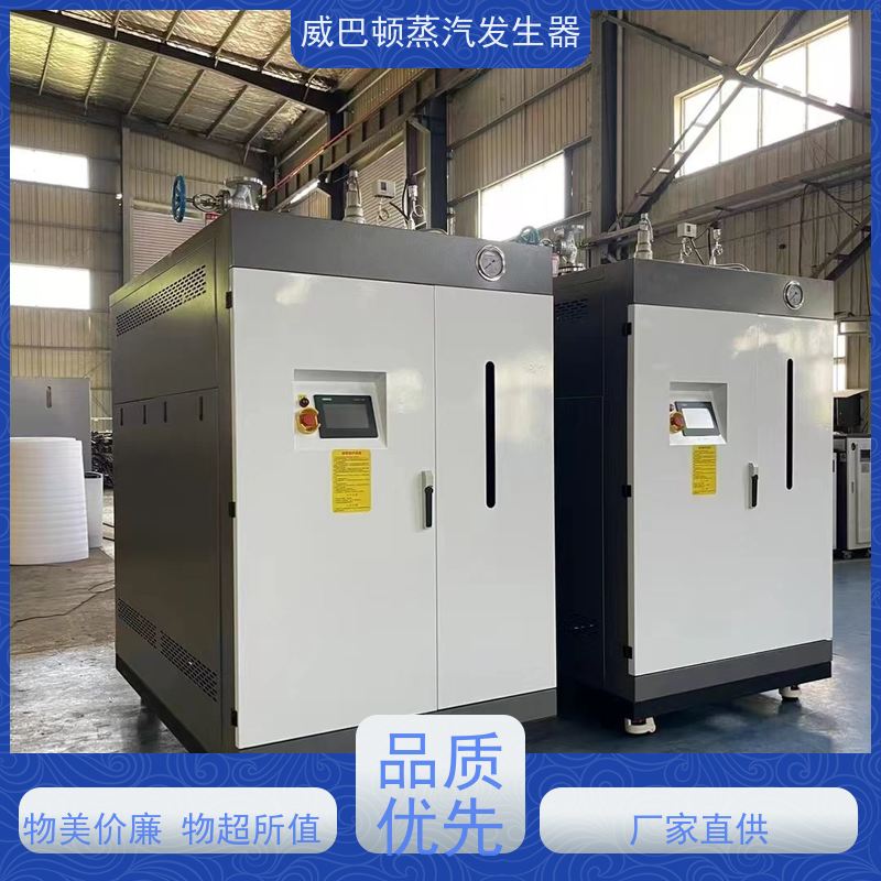  新型国标 洗涤锅炉 水容积≤30L，合规又省心 橡胶厂