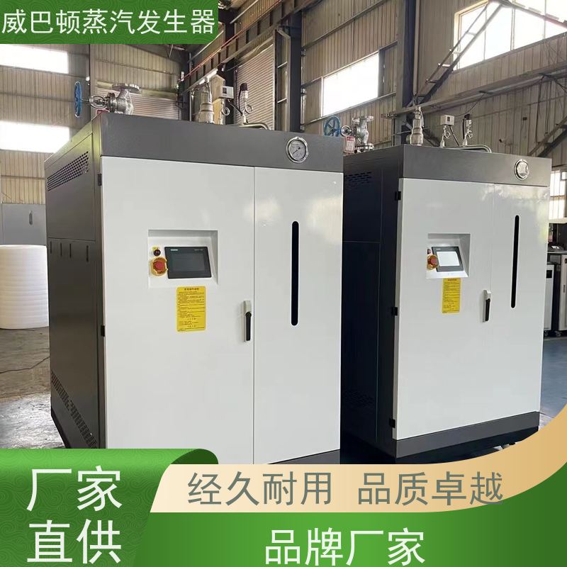  节能环保 1吨蒸汽发生器 水容积≤30L，合规又省心 酿酒厂