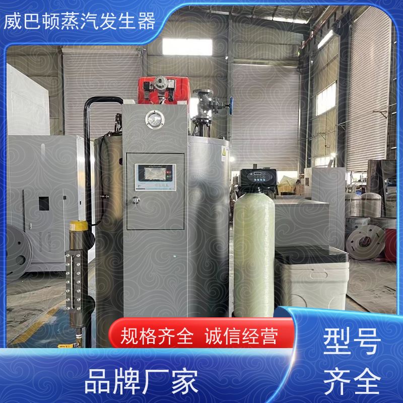 不锈钢 立式蒸汽锅炉 热效率 101% 还省气 印染厂