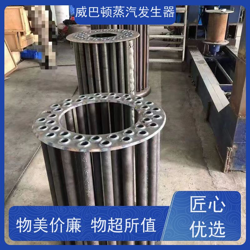  节能环保 贯流蒸汽锅炉 省气 30% 豆腐腐竹加工厂