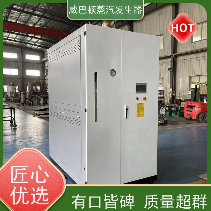  节能环保 天然气锅炉设备 体积小一半全 泡沫厂