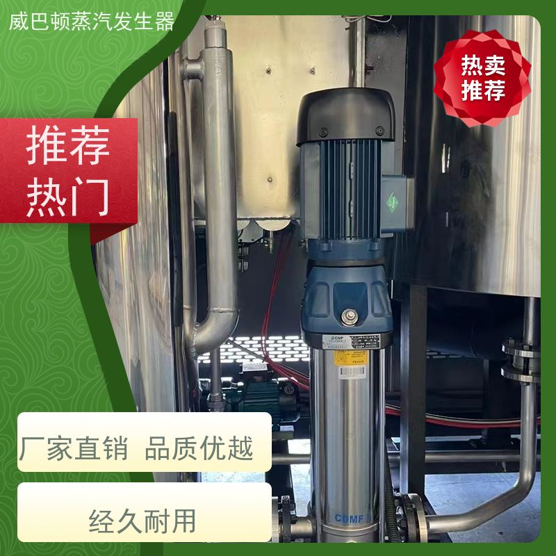  新型国标 洗衣房锅炉 多台并联省气稳供 巴氏消毒