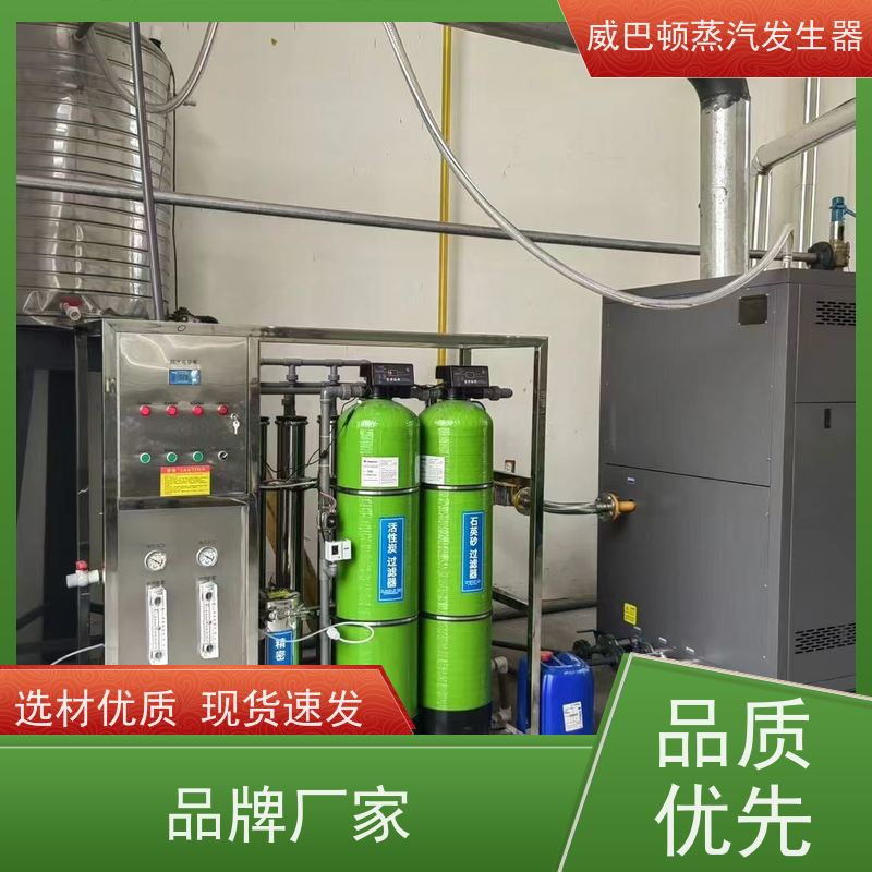  低氮冷凝 10T蒸汽发生器 体积小一半全 食品烘干