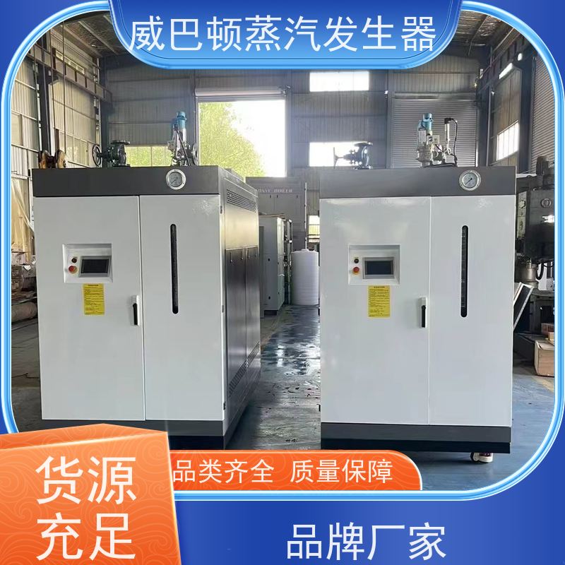  免备案 食品级蒸汽发生器 体积小一半全 橡胶厂