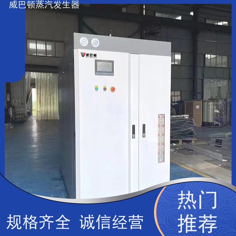  食品级 环保型锅炉 热效率 101% 还省气 混凝土养护