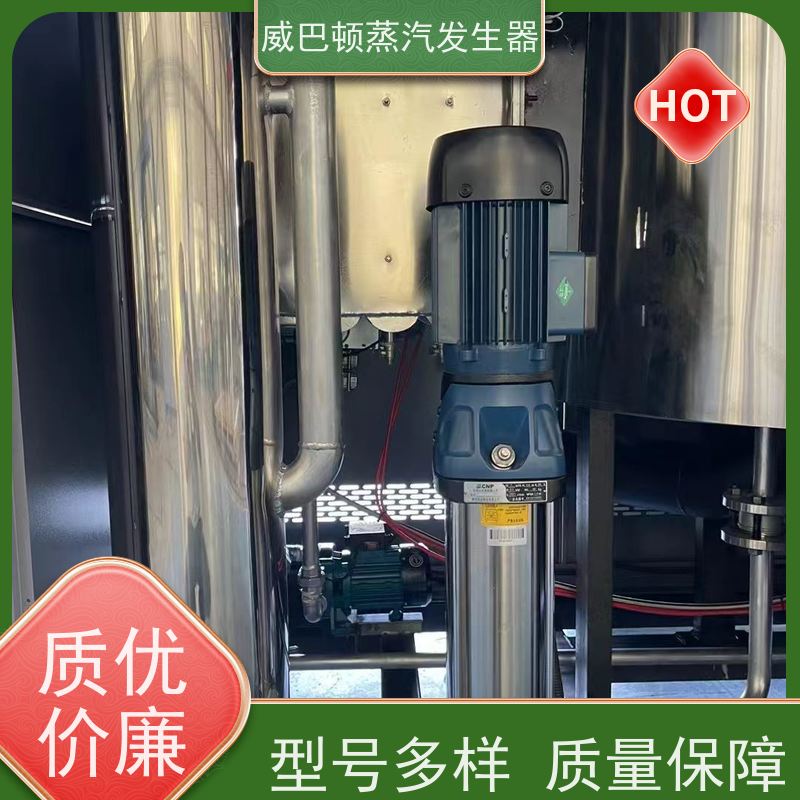  新型国标 工业蒸汽发生器 热效率 101% 还省气 食品烘干