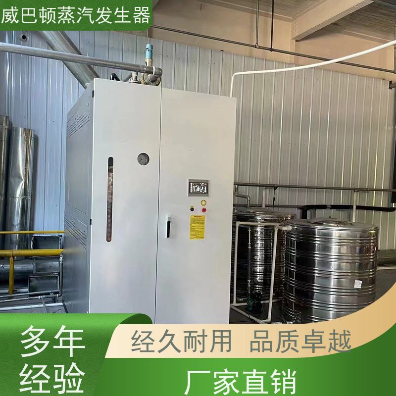  烘干熨烫 立式蒸汽发生器 变频控制 豆腐腐竹加工厂