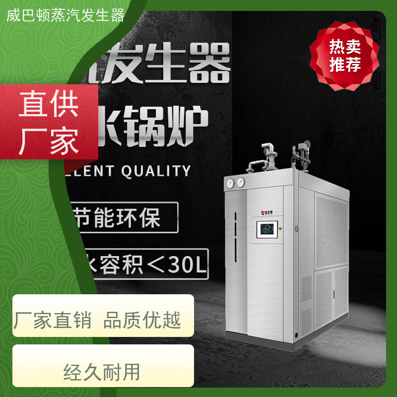  食品级 0.6T蒸汽发生器 热效率 101% 还省气 制药厂
