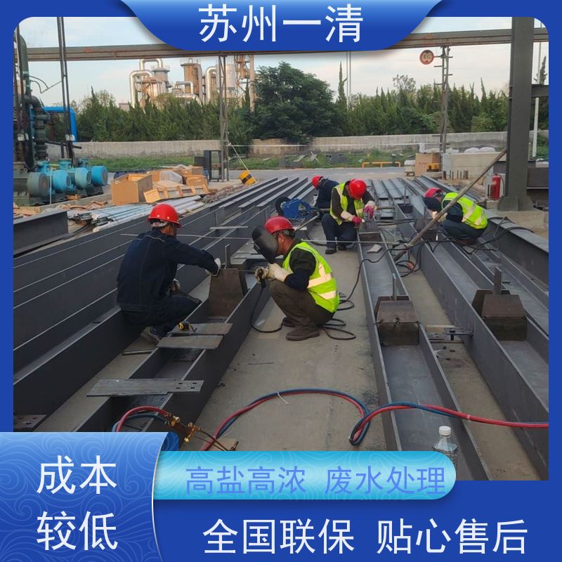 德国进口 高级氧化技术安全便捷 不产生二次污染 农药废水处理设备