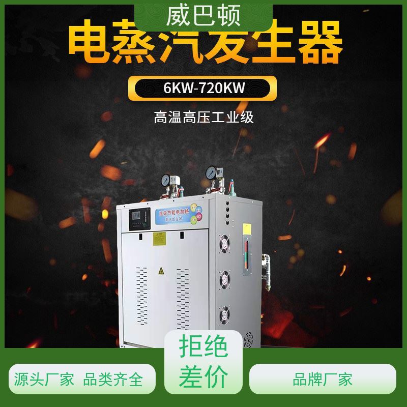  洗涤服务行业 不锈钢材质 电加热锅炉 超压保护