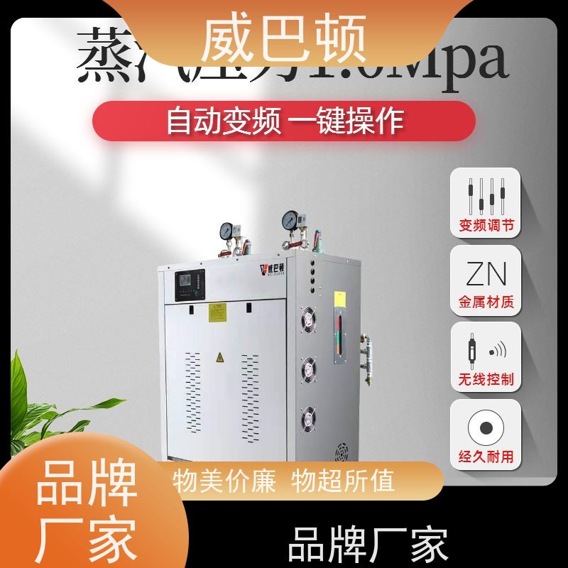  现货直供 洁净蒸汽度 99% 新国标合规 电加热锅炉