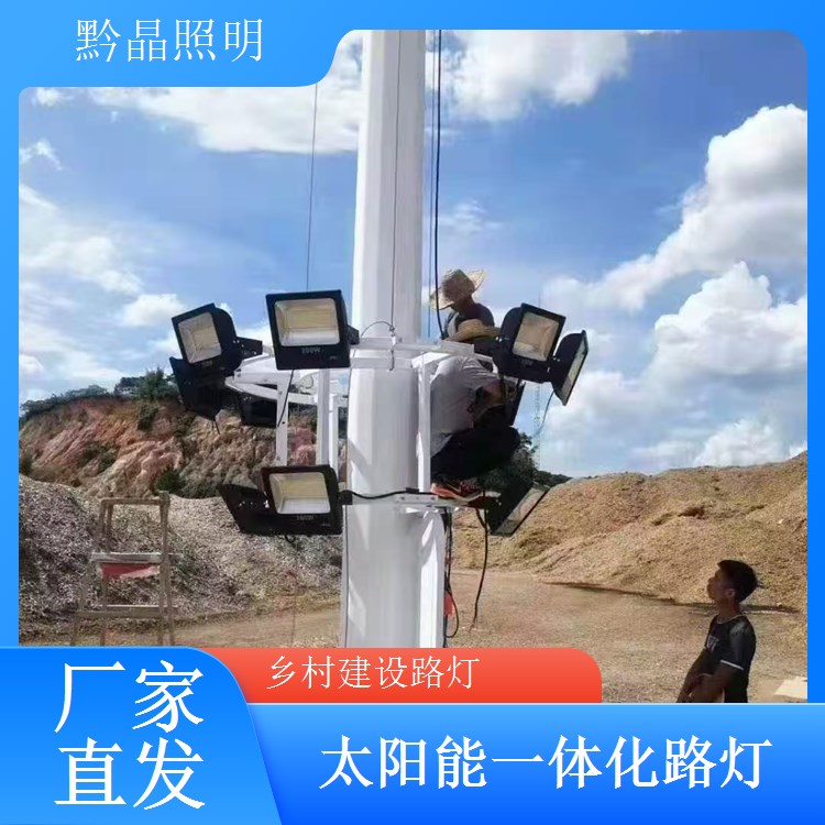 农村户外 LED 路灯批发，适配偏远地区电网，照明稳定不频闪