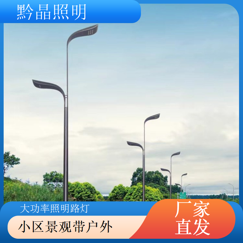 公园湖边户外 LED 路灯供应，防水防漏电，湖边照明更安全