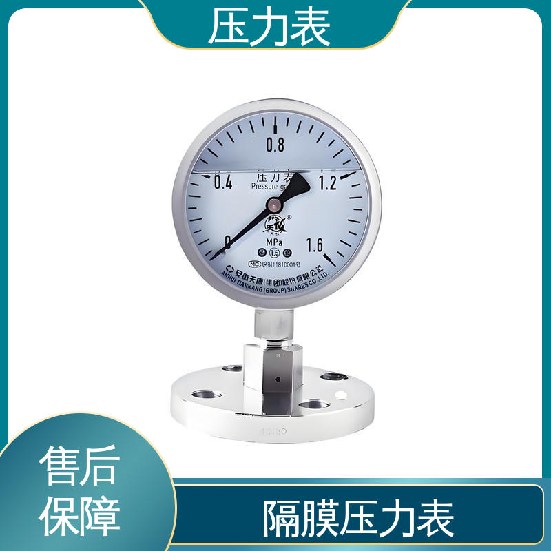 天康 LT系列 精密压力表 精度适中 兼容性好 实力厂家 支持定制