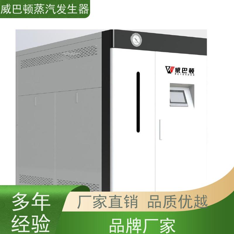  不锈钢 工业蒸汽发生器 省气 30% 豆腐腐竹加工厂
