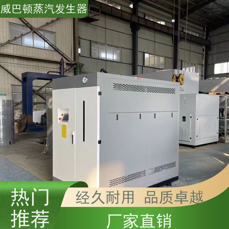  免特检 贯流蒸汽锅炉 水容积≤30L，合规又省心 食品厂